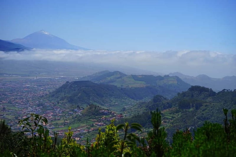 From Puerto de La Cruz: VIP Tour Around Anaga and La Laguna - Anaga Rural Park from a comfortable max-8 minivan