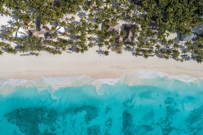 From Santo Domingo Saona Island Food And Drink Catamaran Vip - Saona Island free time: Coral, mangroves, and the beach time tradeoff