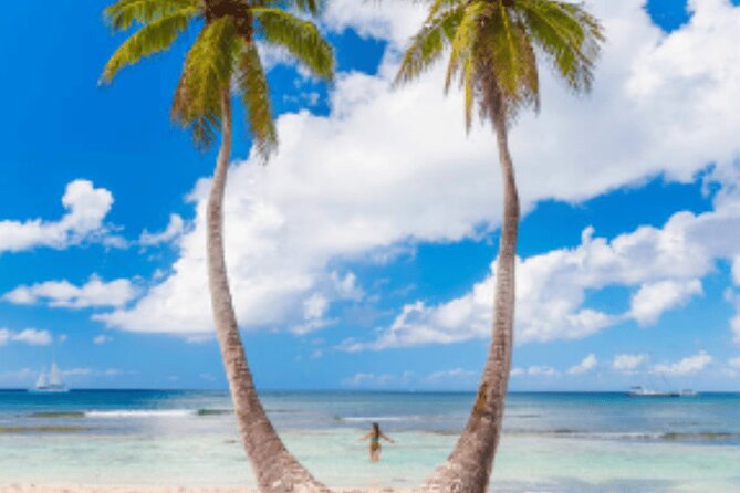 From Santo Domingo Saona Island Food And Drink Catamaran Vip - Who this tour fits best: Beach lovers, first-timers, and people who hate planning