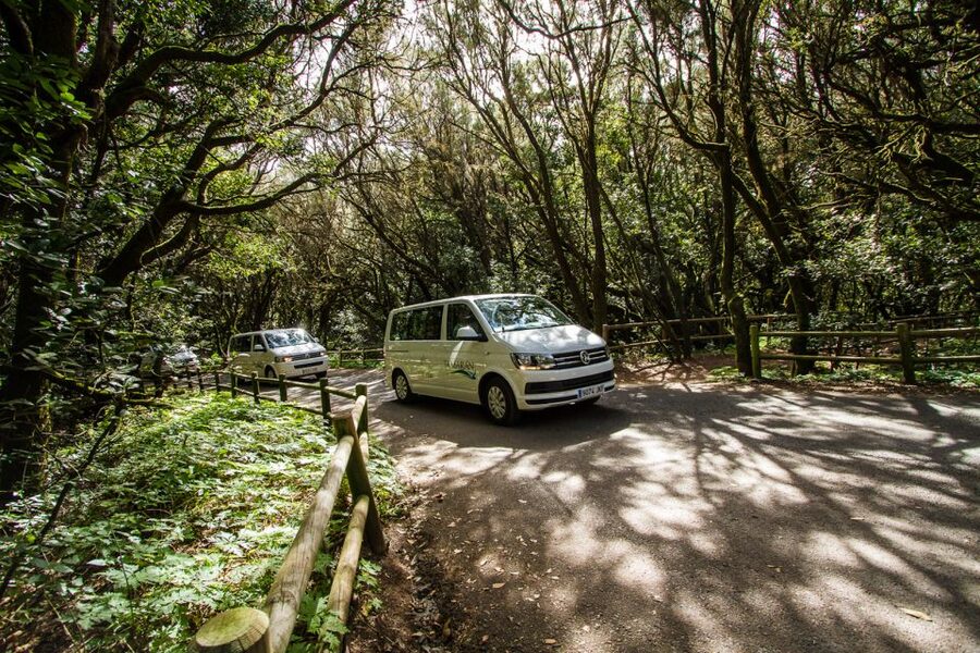 From South Tenerife: VIP Gomera Tour - Timing and pacing: 10 hours that feel full, not rushed