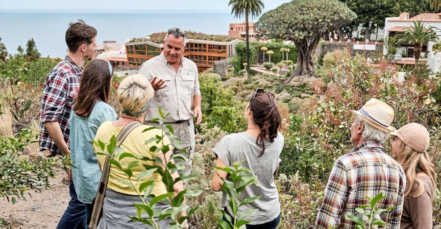 From South Tenerife: VIP Grand Tour Tenerife island - Masca and its hamlets: the drive portion that sets the tone