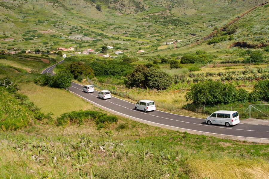From South Tenerife: VIP Grand Tour Tenerife island - Wheelchair access and who the route fits best