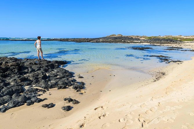 Fuerteventura: DISCOVER FUERTEVENTURA TOUR 7 hours max 8 people - Why This Tour Works for Most People