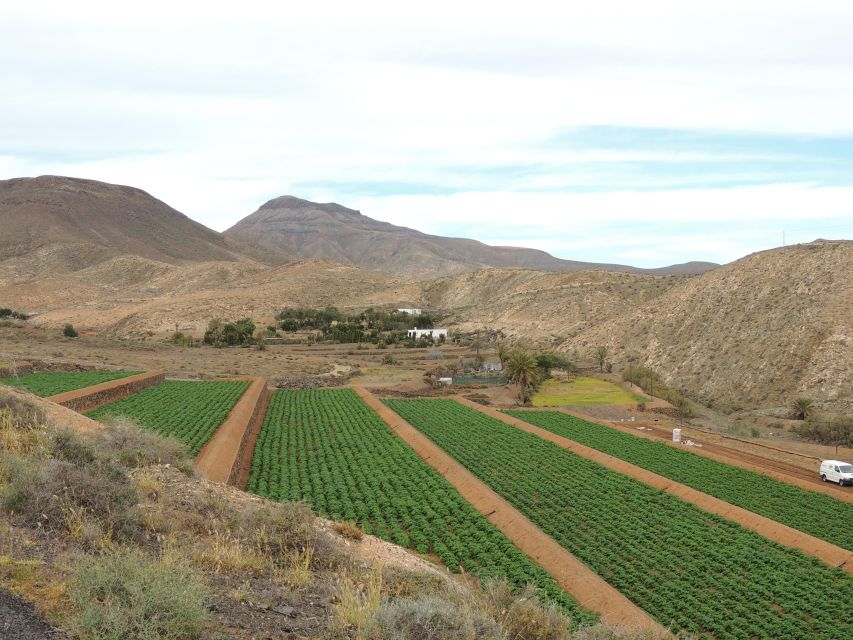 Fuerteventura: Island Highlights Guided VIP Sightseeing Tour - Key highlights worth your attention