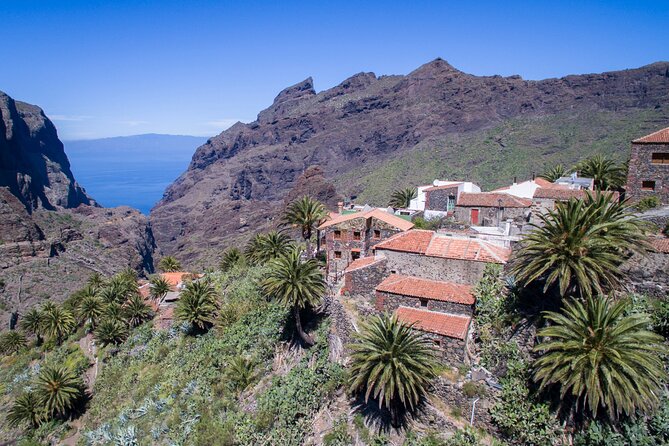 Full-Day Vip Masca and Teide Tour From South Tenerife - Lunch stop at a family-run Canarian restaurant: what you’re really paying for