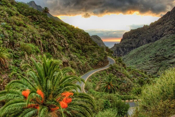 Full-Day Vip Masca and Teide Tour From South Tenerife - Comfort and group size: what max 30 really means