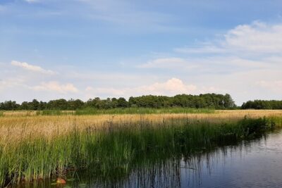 Giethoorn Private 1 or 2 Hour VIP Boat Tour - Bovenwijde: the calm stop where the scenery breathes