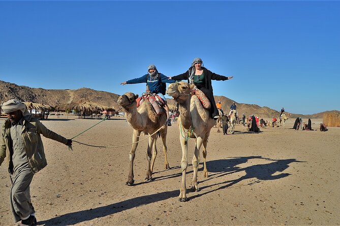 Giftun Island VIP Sea Trip Lunch on Bord and Transfer - Hurghada - Giftun Island and Hula Hula Island: the Red Sea day you can actually plan