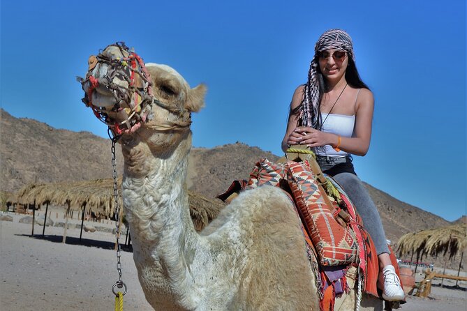 Giftun Island VIP Sea Trip Lunch on Bord and Transfer - Hurghada - Hotel pickup and the ride to the harbor in air-conditioned comfort