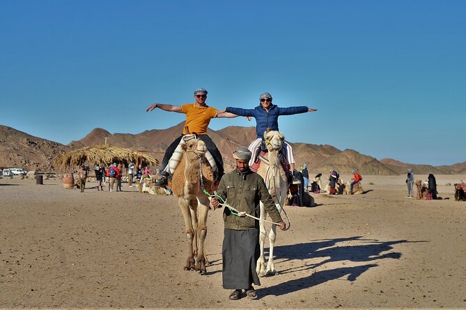 Giftun Island VIP Sea Trip Lunch on Bord and Transfer - Hurghada - Who this VIP Giftun Island cruise is best for