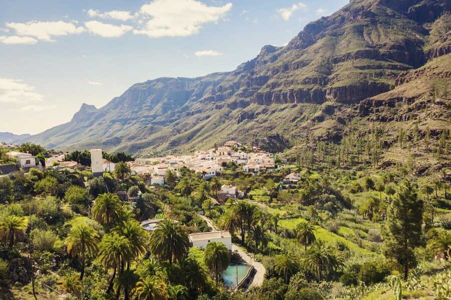 Gran Canaria: Full-Day VIP Tour by Bus - Guide and driver: why the day works best with clear interpretation