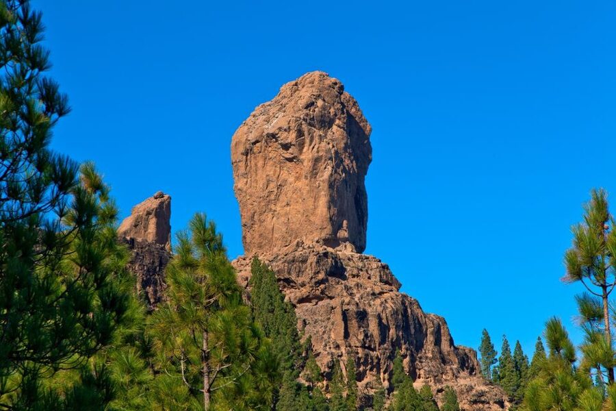 Gran Canaria: Full-Day VIP Tour by Bus - First, the feel of a VIP day tour (and what $58 really buys)