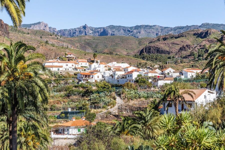 Gran Canaria: Full-Day VIP Tour by Bus - Valley of a Thousand Pine Trees: forests, peak crossings, and viewpoints