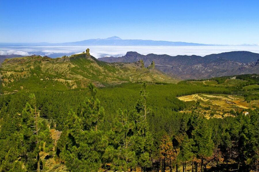 Gran Canaria: Full-Day VIP Tour by Bus - Fataga and the Valley of a Thousand Palm Trees: a calm finish with village charm