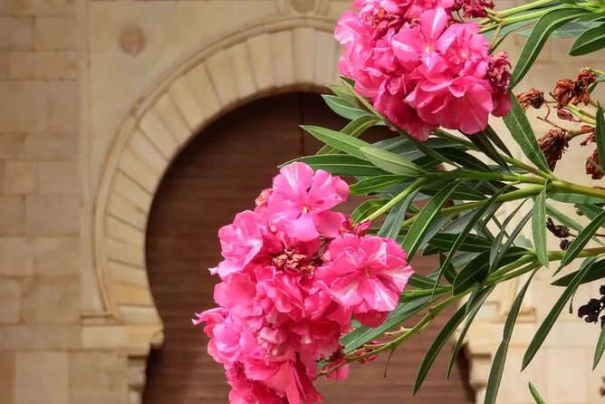 Granada : Alhambra Prestige Group Tour (VIP tickets included) - Timing Realities: When “VIP” Still Means Waiting Your Slot