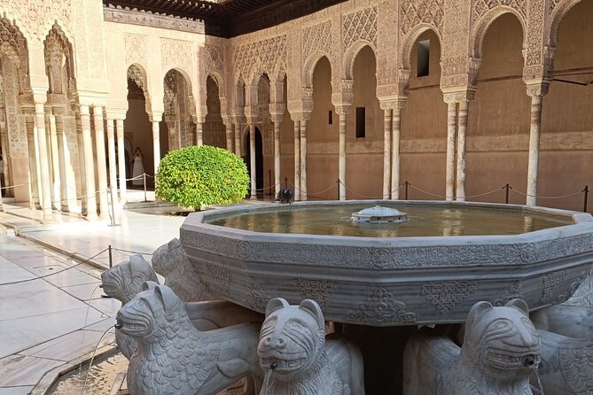 Granada : Alhambra Prestige Group Tour (VIP tickets included) - Group Tour Experience: How It Usually Feels in Practice