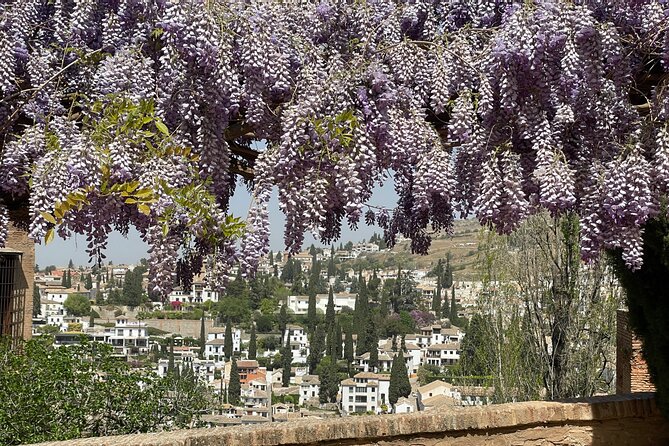 Granada : Private Alhambra Tour + Nazaries Palaces (VIP) - Price and value: what $114.65 really buys you