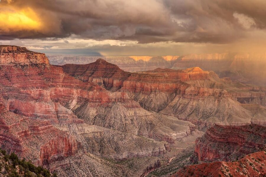 Grand Canyon Hoover Dam and Joshua Tree VIP Small Group Tour - Guano Point: where the walk and photos feel worth it