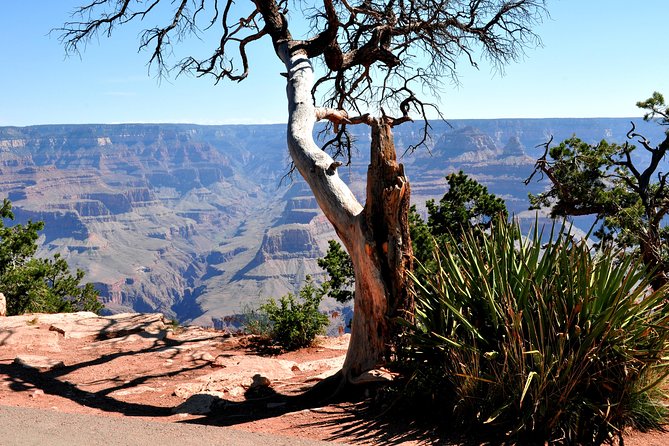 Grand Canyon National Park VIP Tour from Las Vegas - Kingman Railroad Museum: Route 66 Western Flavor