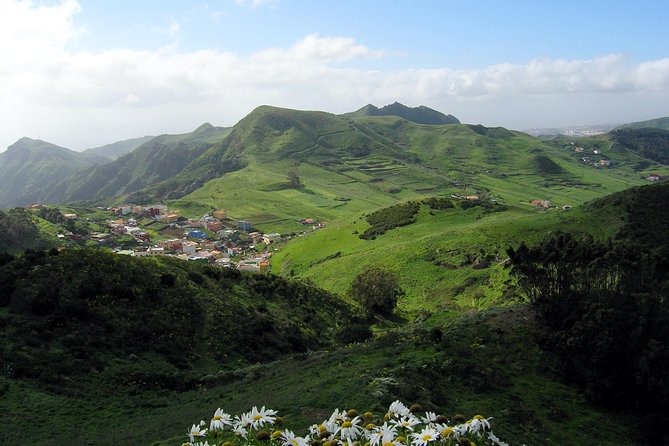 Grand Tour Tenerife - Full-Day Private VIP Tour - Parque Rural de Anaga: the best walking time on the circuit