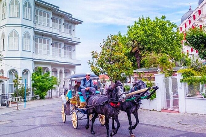 Guided VIP Princes Island Full Day Tour from Istanbul with Lunch - From central Istanbul to Unkapani: how the day actually starts