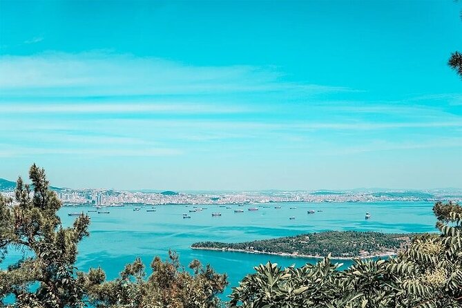 Guided VIP Princes Island Full Day Tour from Istanbul with Lunch - Kız Kulesi (Maiden’s Tower) photo moment at Üsküdar