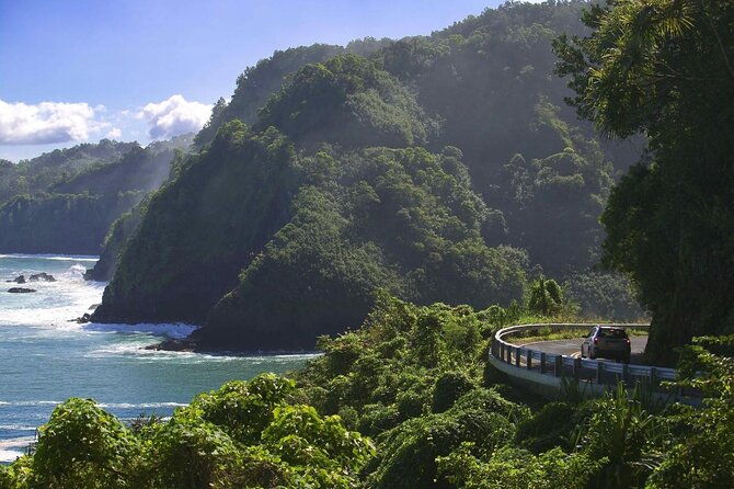 Half Day Private VIP Road to Hana Tour - Key points before you go
