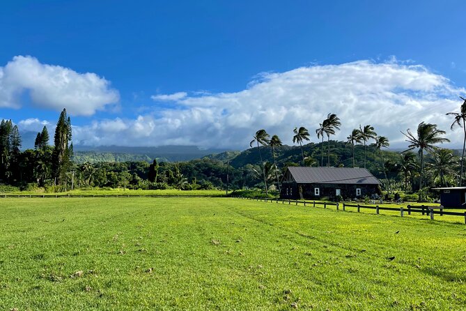 Half Day Private VIP Road to Hana Tour - The half-day route: Paia to Hana highlights (with what to expect)