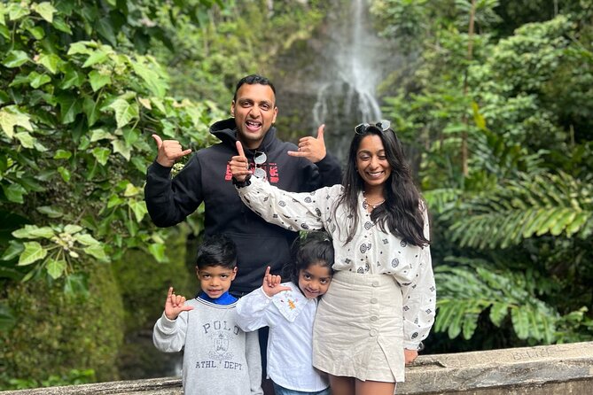 Half Day Private VIP Road to Hana Tour - What guides do that you’ll feel in the car