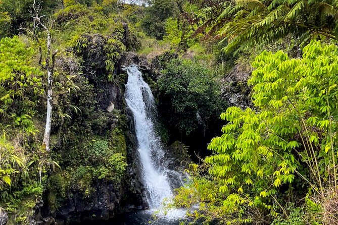 Half Day Private VIP Road to Hana Tour - Photo stops: how to get shots without rushing