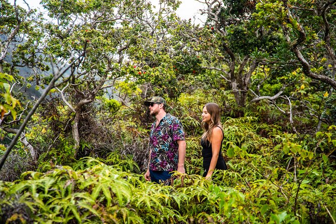 Half Day Private VIP Road to Hana Tour - Should you book this Road to Hana VIP half-day?