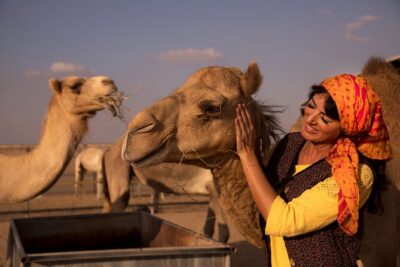 High Red Dunes with Camel Ride, Sandboarding, Falcon Show and VIP BBQ Dinner - Sunset Bedouin Time: Camel Ride, Henna, and Star-Under-Dinner Atmosphere