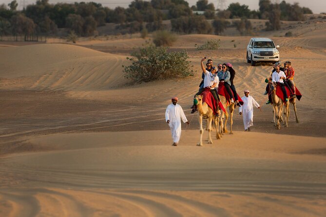 High Red Dunes with Camel Ride, Sandboarding, Falcon Show and VIP BBQ Dinner - Price and Value: Is This Dubai Desert Safari Worth $80?