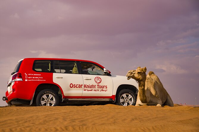 High Red Dunes with Camel Ride, Sandboarding, Falcon Show and VIP BBQ Dinner - Who This Safari Fits Best (and Who Might Want Another Option)