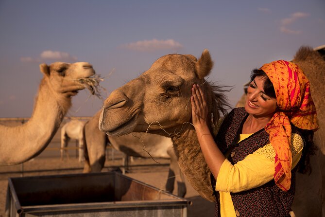 High Red Dunes with Camel Ride, Sandboarding, Falcon Show and VIP BBQ Dinner - Sunset Bedouin Time: Camel Ride, Henna, and Star-Under-Dinner Atmosphere