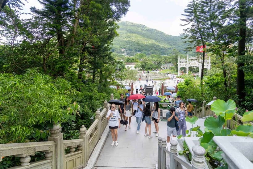 Hong Kong: Lantau VIP Priority Cable Car, Big Buddha & Tai O - From Kowloon to Lantau: why this tour works as a full day