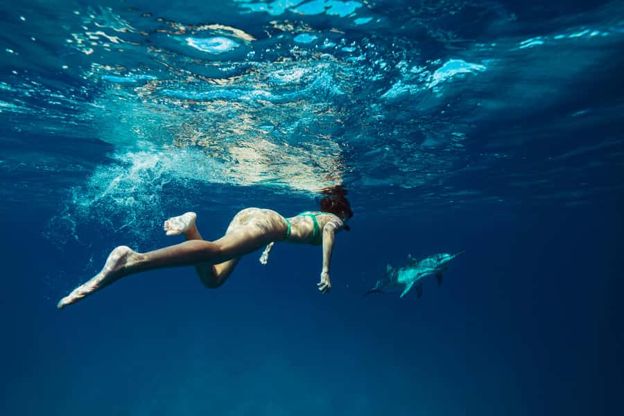 Hurghada: All-Inclusive Elite VIP Dolphin House & Massage - Snorkeling stops: three chances to see reefs, fish, and calm guidance