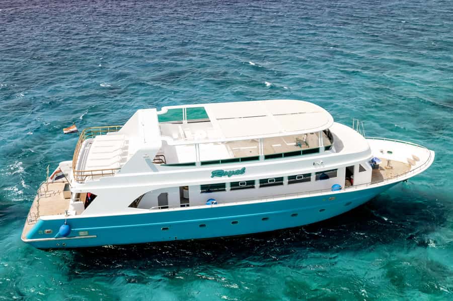 Hurghada: All-Inclusive Elite VIP Dolphin House & Massage - Food and drinks on board: breakfast, buffet lunch, and unlimited water