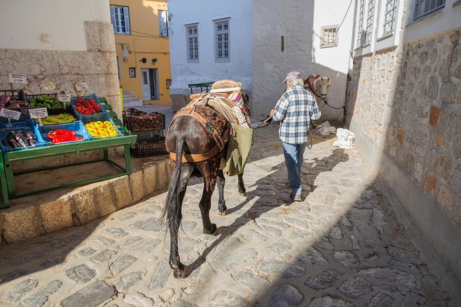 Hydra, Poros and Egina Day Cruise from Athens with Optional VIP Upgrade - Should you book this Hydra, Poros and Aegina day cruise?