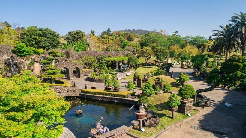 Jeju Island Private VIP Day Tour with Tickets - West course: Hallim Park gardens, tea fields, dragon-coast Yongmeori, and Sanbangsan