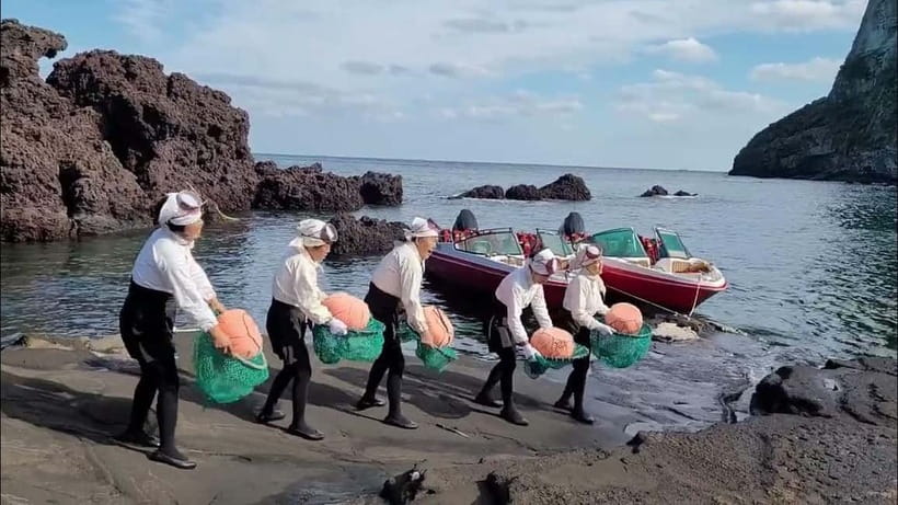 Jeju Island Private VIP Day Tour with Tickets - Udo Island ferry: what’s included and what you’ll need to plan
