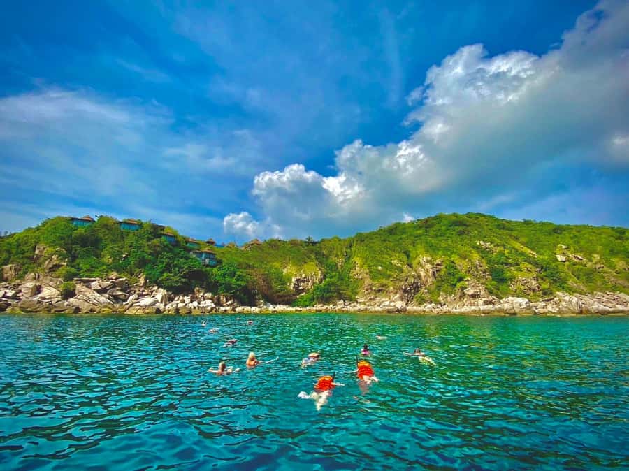 Koh Samui : VIP Koh Tao & Koh Nang Yuan Small-Group Tour - Thai lunch with views: refuel without losing the second island