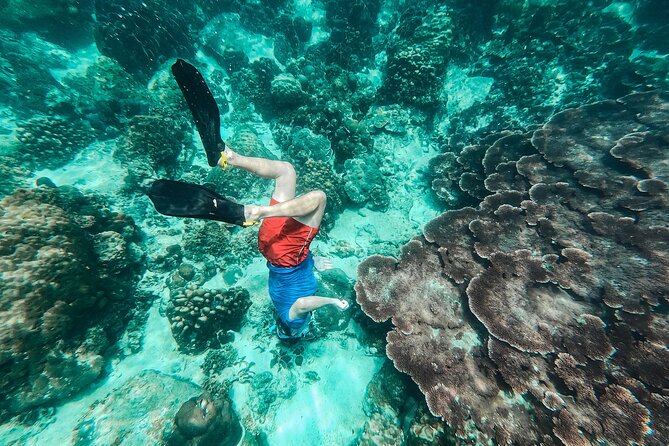 Koh Tao VIP Snorkelling Tour - Koh Tao snorkelling: three sites, guided help, and weather-based choices