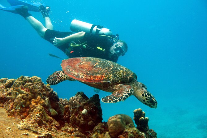 Koh Tao VIP Snorkelling Tour - VIP value: where your $193.95 is going
