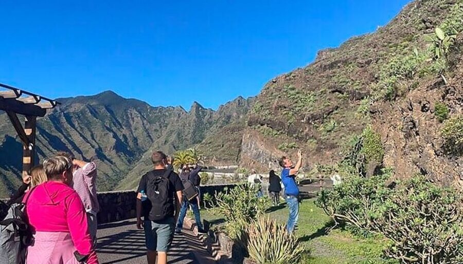 La Gomera Vip Experience - Who this tour suits best (and who might prefer another option)