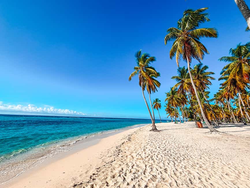 La Romana: Saona Crusoe VIP for cruise guests - Canto de la Playa: Remote Water, Easy Snorkeling, and Bare-Nature Energy