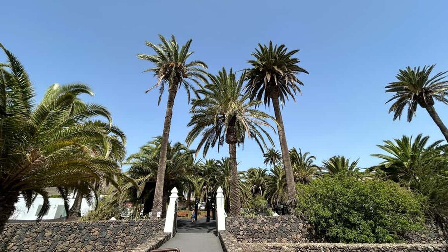 Lanzarote: VIP Island Grand Tour - How this VIP-style day really feels (comfort, pace, and group vibe)
