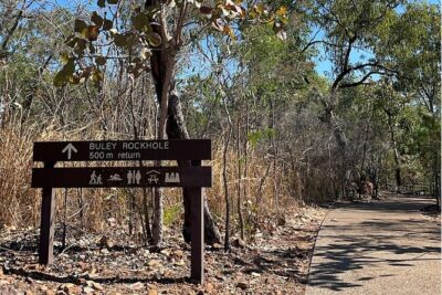Litchfield & Berry Springs VIP Adventure Day Tours (group of 11) - Berry Springs Nature Park: your first wildlife break and swim