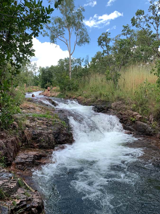 Litchfield VIP Tours, Litchfield National Park, Day Tours, - What the day feels like at each time: timing, heat, and how to stay comfortable