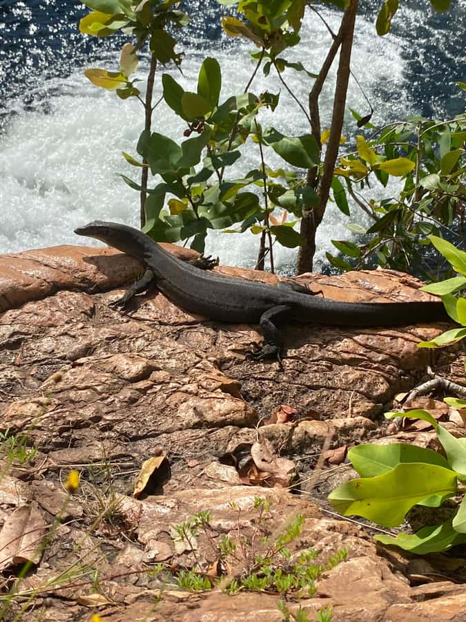 Litchfield VIP Tours, Litchfield National Park, Day Tours, - Who this tour suits best (and who might feel the mismatch)